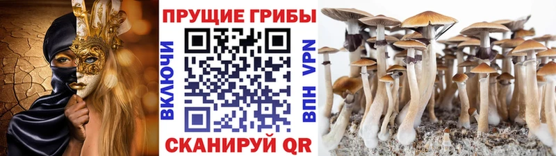 Галлюциногенные грибы GOLDEN TEACHER  где найти   блэк спрут вход  Сычёвка 